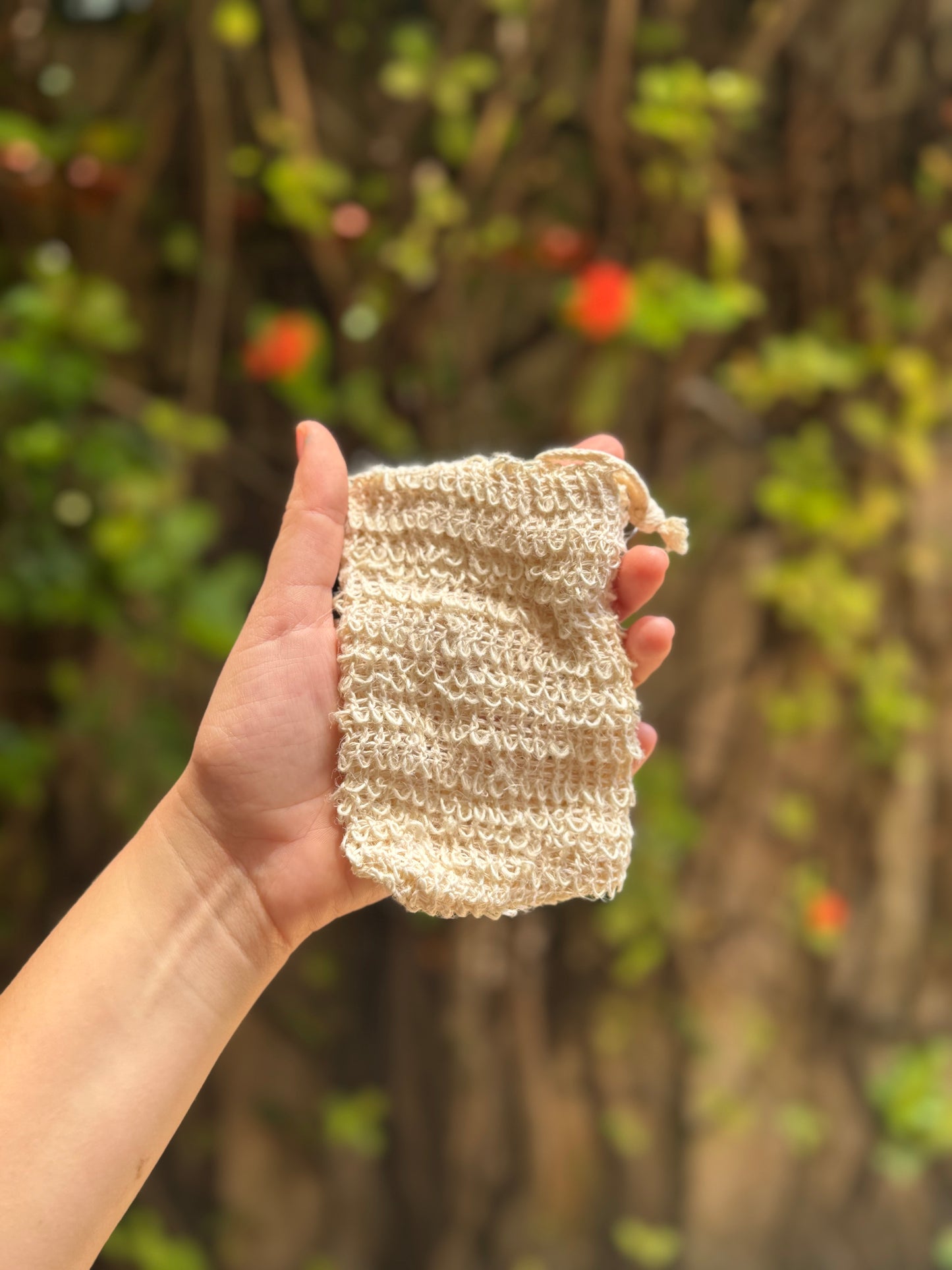 Esponja Ecológica