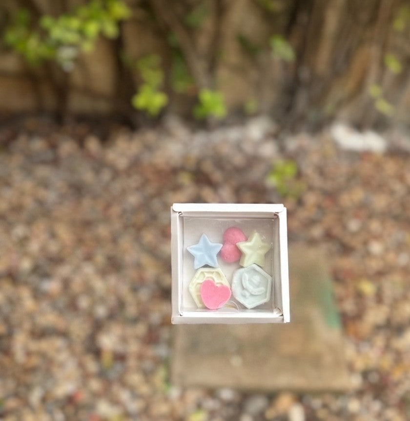 Wax Melts - Pastillas Aromatizantes