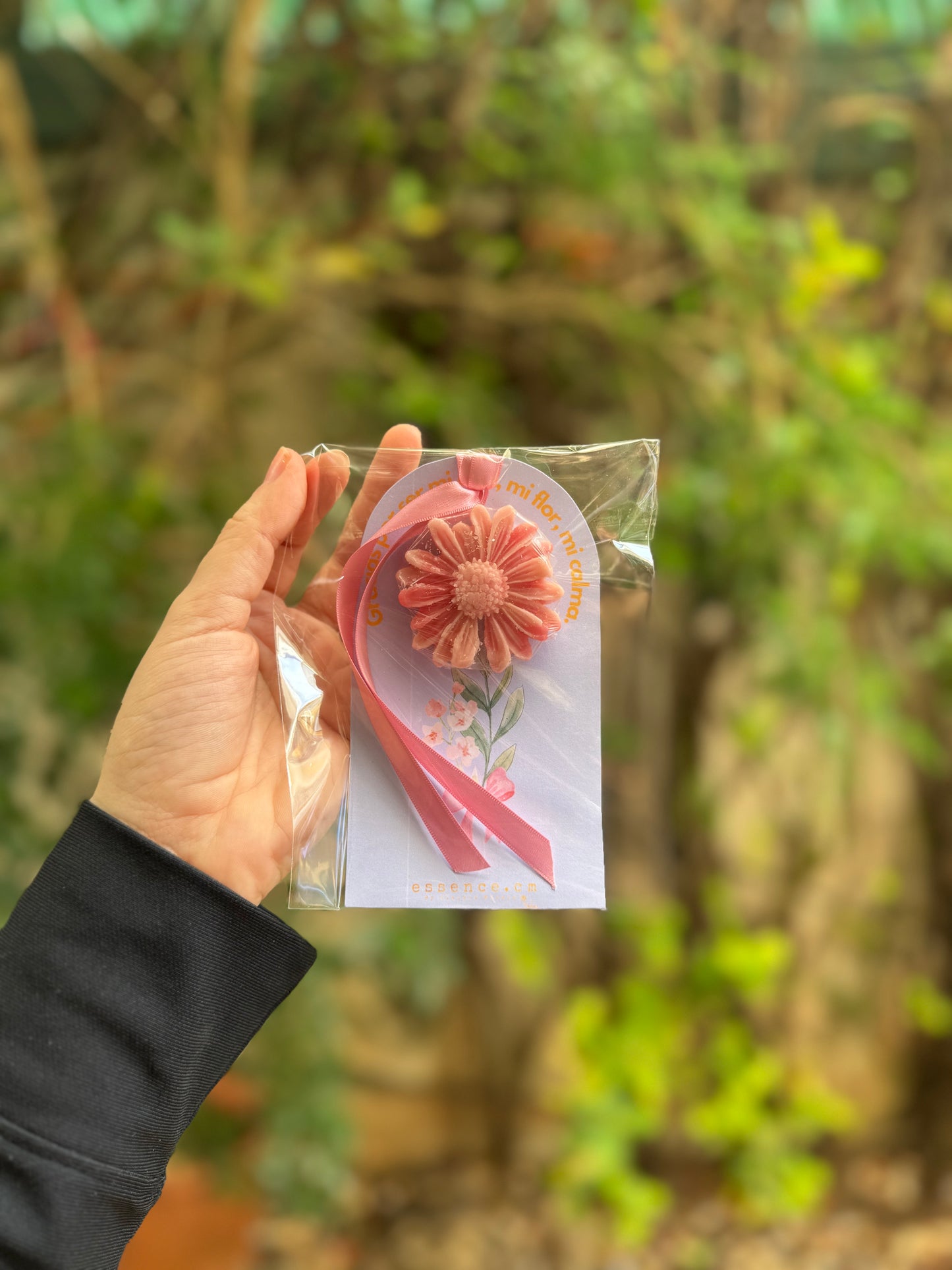 Tarjetas de Temporada