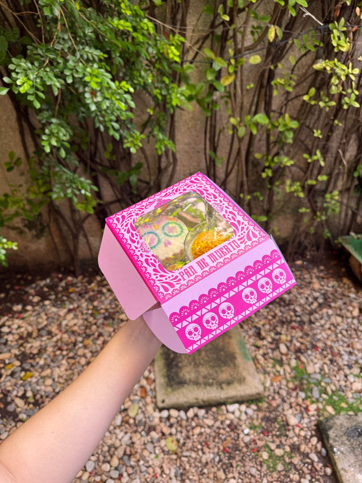 Colección DÍA DE MUERTOS