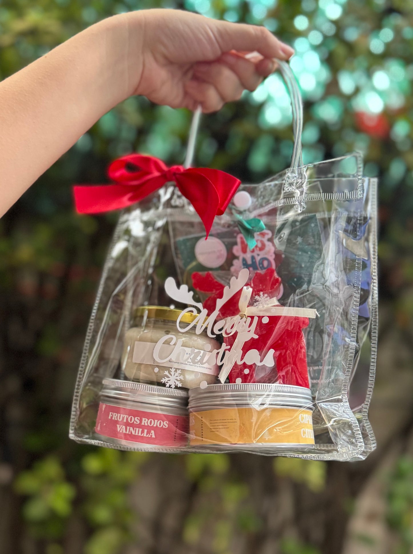 Bolsa Merry Christmas🎁