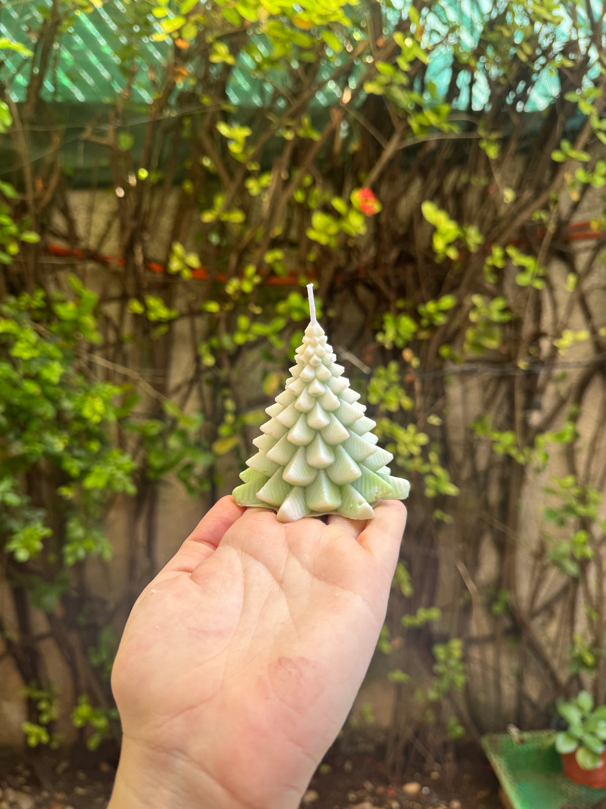Pinitos de Navidad