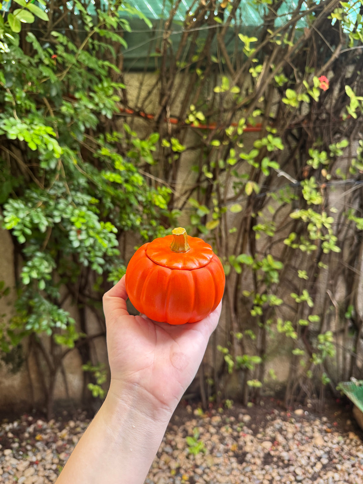 Pumpkin Essence