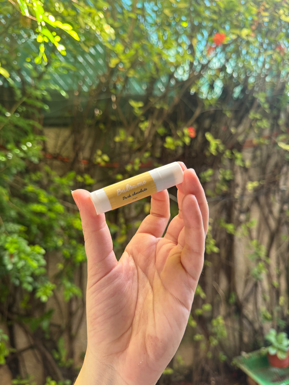 Bálsamos de labios