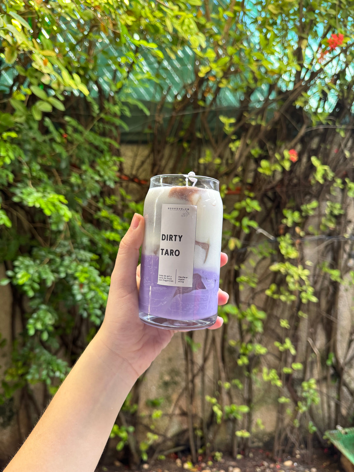 Velas LATTE