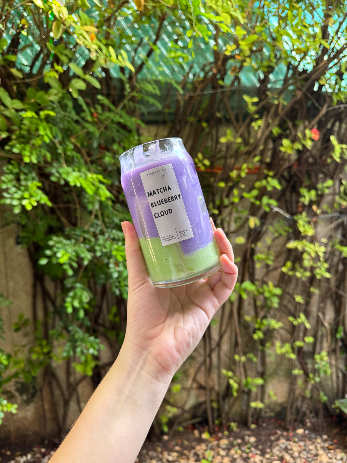 Velas LATTE