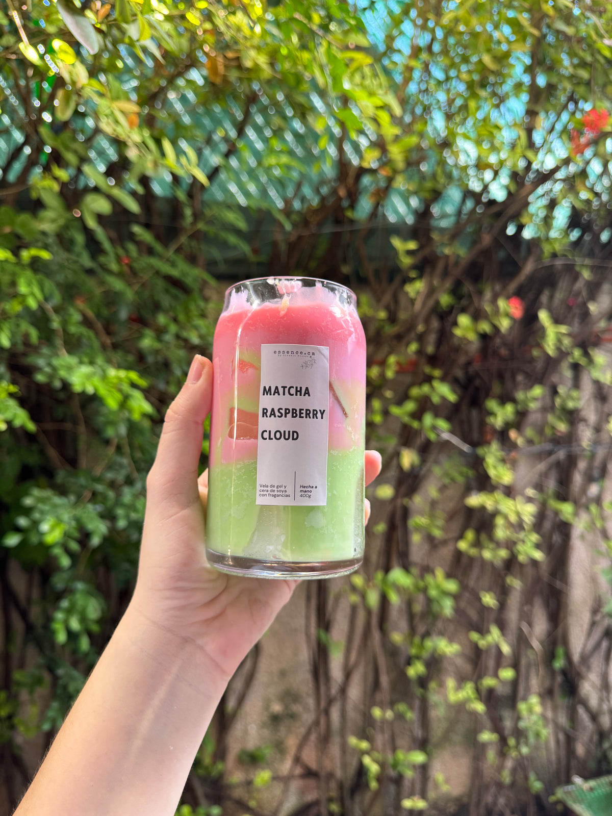 Velas LATTE