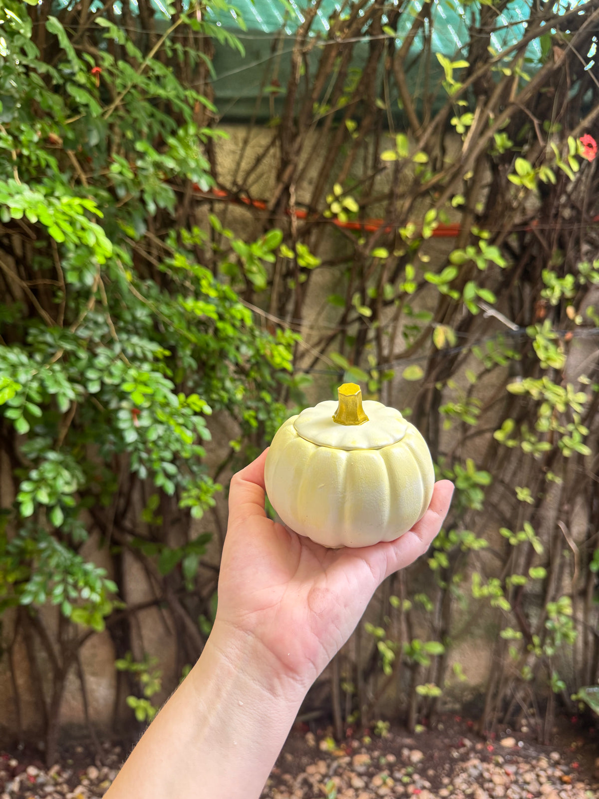 Pumpkin Essence