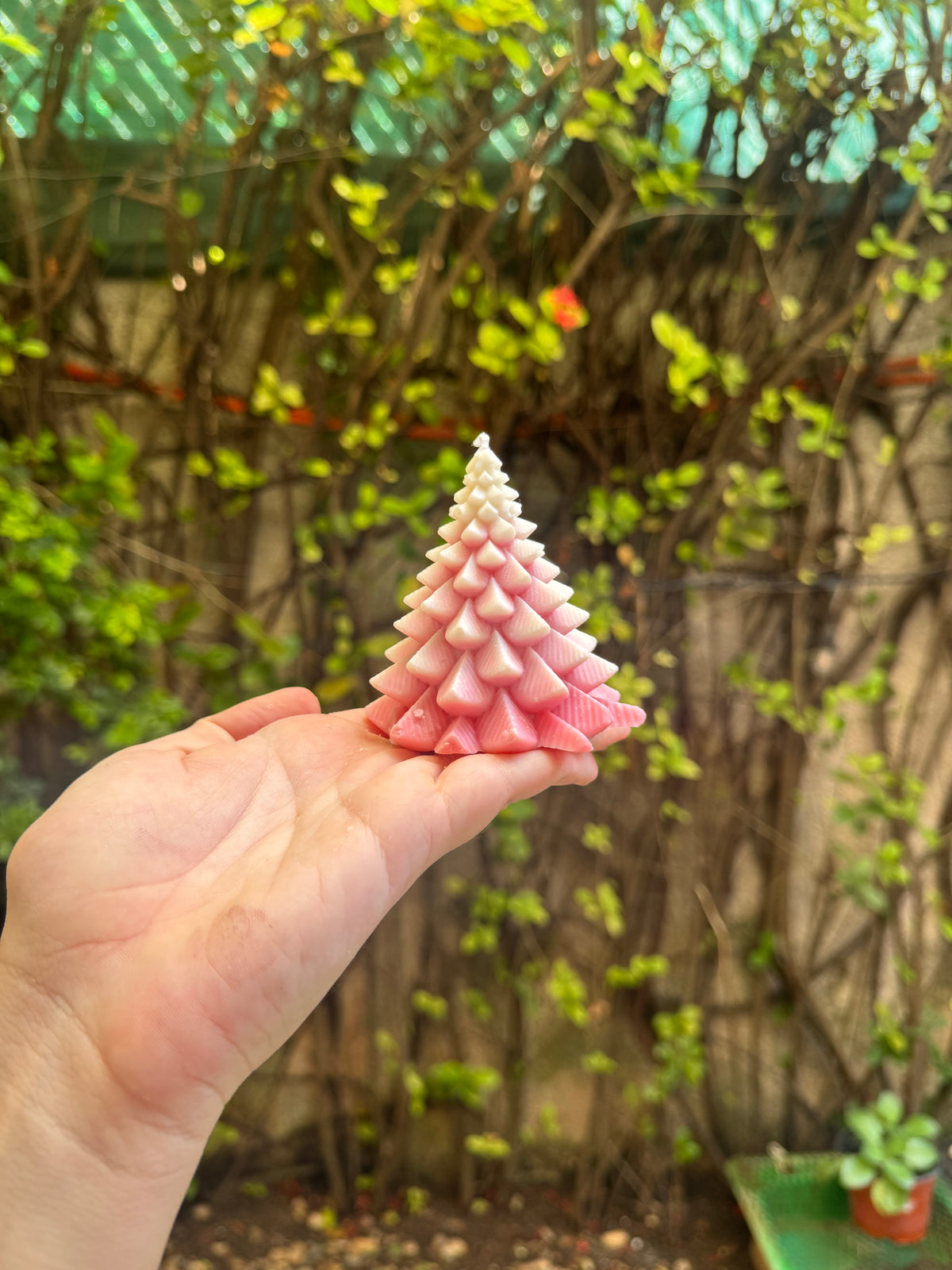 Pinitos de Navidad