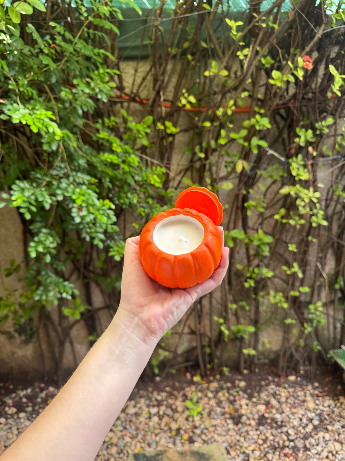 Pumpkin Essence