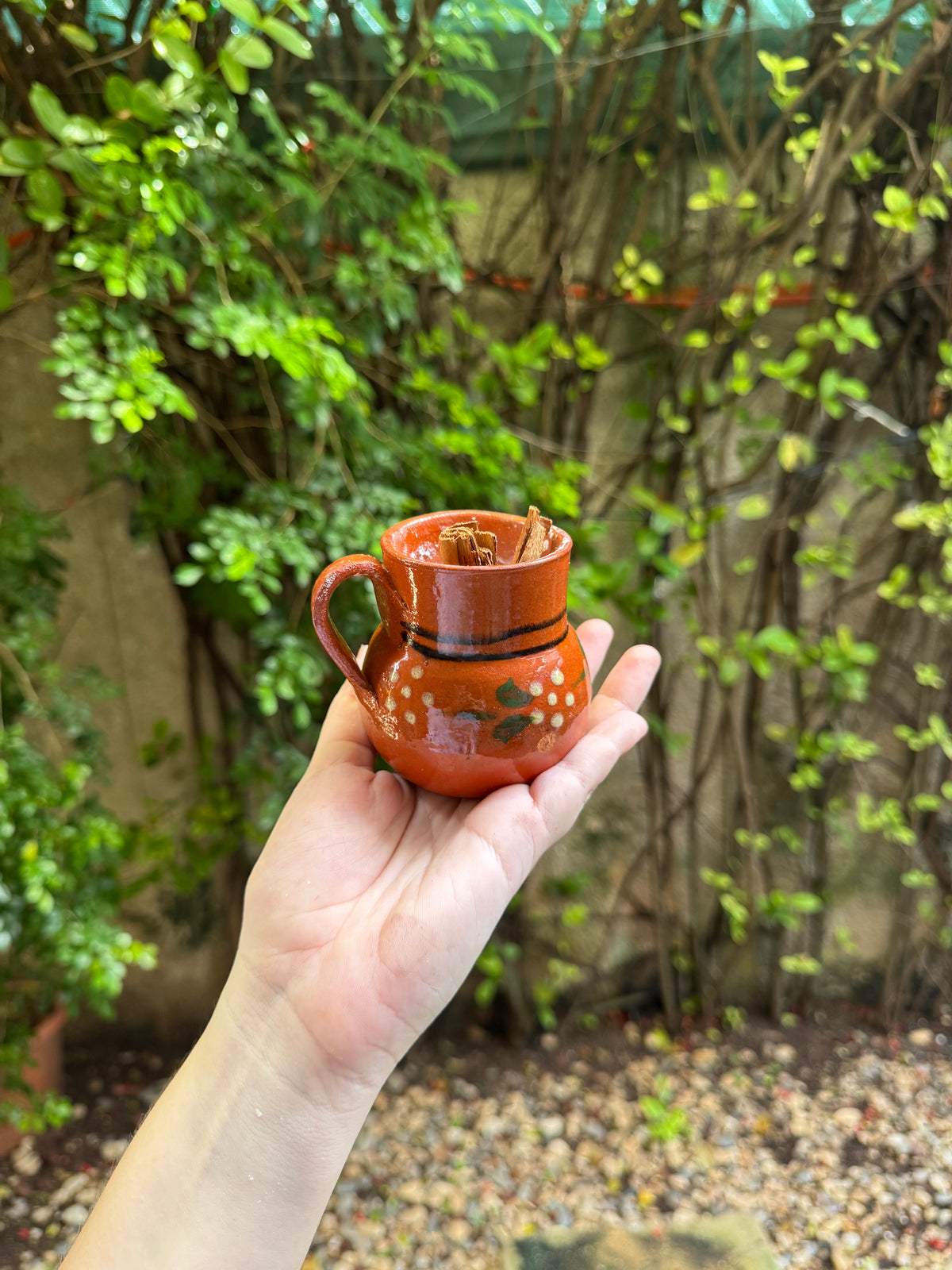Vela Cantarito
