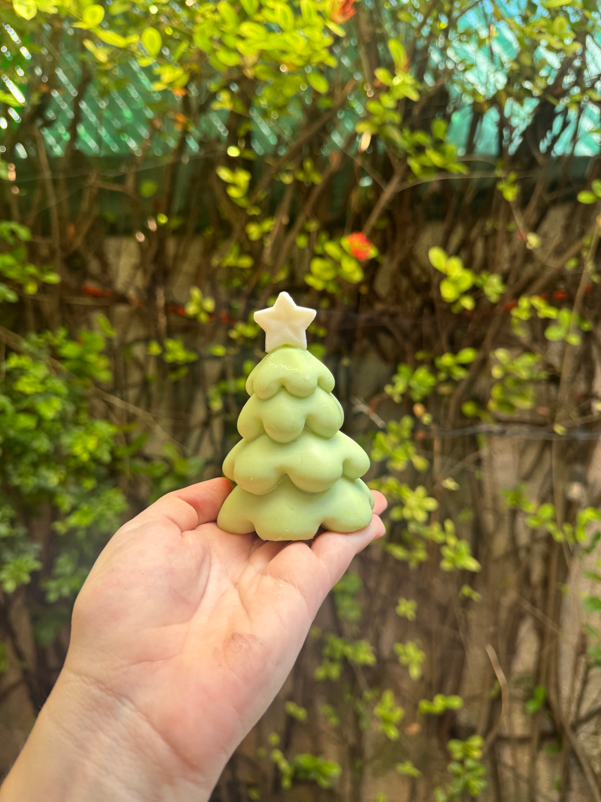 Pinitos de Navidad