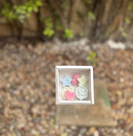 Wax Melts - Pastillas Aromatizantes