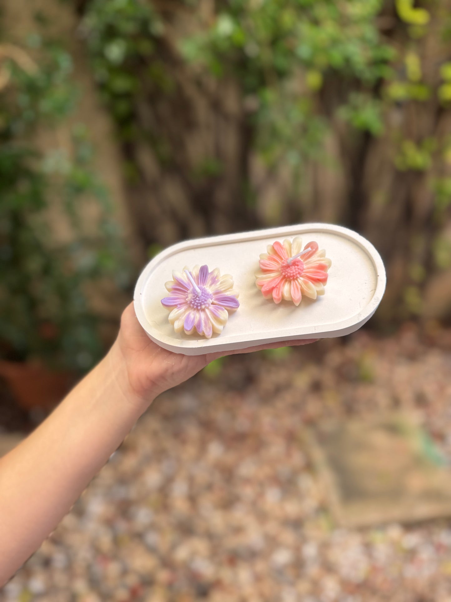 Jabones de Temporada